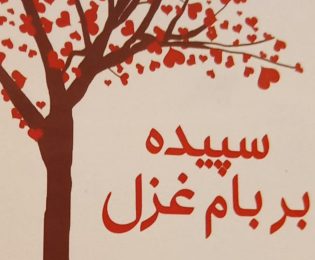 کتاب شعر «سپید بر بام غزل» در اراک رو نمایی شد