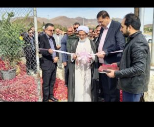 رونمایی بزرگترین فرش سرگل خاورمیانه در محلات