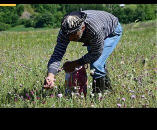 بهره‌برداری ۹ طرح آبخیزداری و عمرانی در استان مرکزی